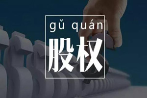 股權(quán)轉(zhuǎn)讓時(shí)怎么繳納個(gè)人所得稅